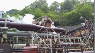 DCIM0118.jpg