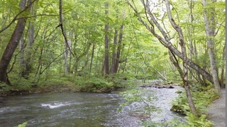 DCIM0153.jpg