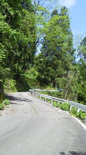 DCIM0485.JPG