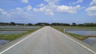 DCIM0491.JPG